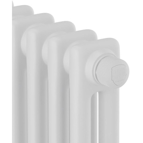 Радиатор трубчатый стальной ROYAL THERMO Insignia VC2180 6 сек., нижнее подключение