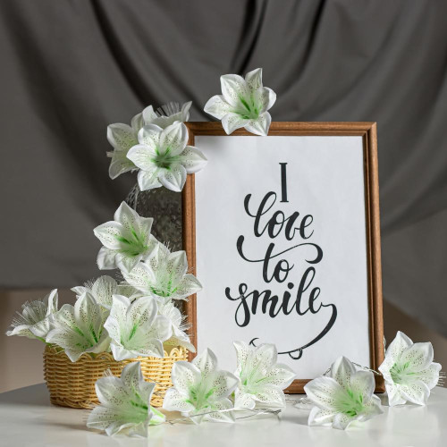 Гирлянда LUAZON LIGHTING 