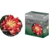Фонарь садовый TDM SQ0330-0140 Кувшинка розовая
