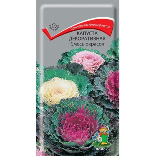 Семена Цветы Капуста декоративная Поиск (358475)