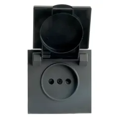 Розетка 2P ЭМИЛИ защ.шторки с крышкой черный RST16-5113-05