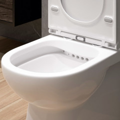 Унитаз-компакт EVA GOLD A8060 тонкое сиденье ДП, безободковый