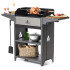 Мангал GRATAR Family Optima Grill FOG2000