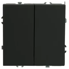 Выключатель 2-кл ЭМИЛИ черный RSW10-5104-05