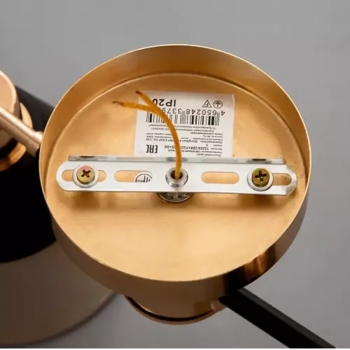 Светильник ЭкономСвет 12209/2BK+FGD AMB+BK