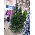 Ель искусственная CITYTREES Олимпийская зеленая 250см