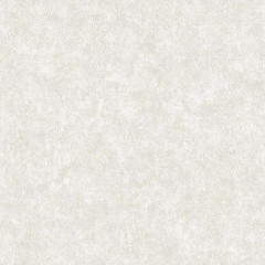 Обои Саратовские Гудзон 02 винил на бумажной основе С33 0,53*10 (12)