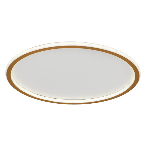 Светильник ЭкономСвет 88008/50GD