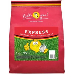 Семена газона ГазонCity Express 1 кг (451772)