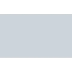 /Обои 60046-05 Эрисманн винил на флизелиновой основе 1,06*10 (6) РАСПРОДАЖА!!