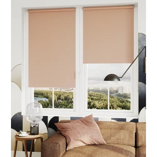 Рулонные жалюзи Лестер 57*175 пудра