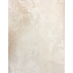 /Обои Гомель Дели-51 винил на флизелиновой основе 1,06*10м (6) РАСПРОДАЖА!!