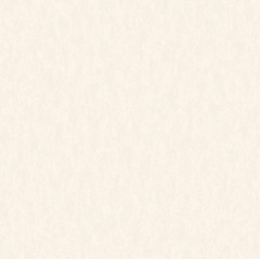 /Обои 8836-13 Индустрия винил на флизелиновой основе 1,06*10 (6)