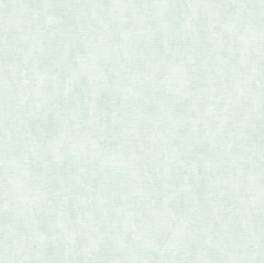 /Обои 60662-06 Эрисманн винил на флизелиновой основе 1,06*10 (6) РАСПРОДАЖА!!