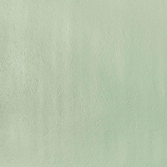 Обои Elysium 908606 Эвкалипт фон супермойка 0,53*10 (9)