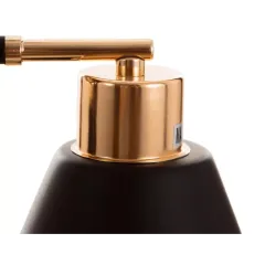 Светильник ЭкономСвет 12209/2BK+FGD AMB+BK