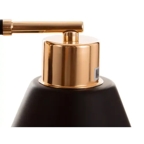 Светильник ЭкономСвет 12209/2BK+FGD AMB+BK