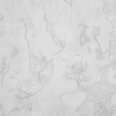 /Обои 60695-01 Эрисманн винил на флизелиновой основе 1,06*10 (6) РАСПРОДАЖА!!