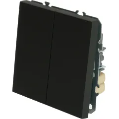 Переключатель 2-кл ЭМИЛИ черный RSW10-5107-05
