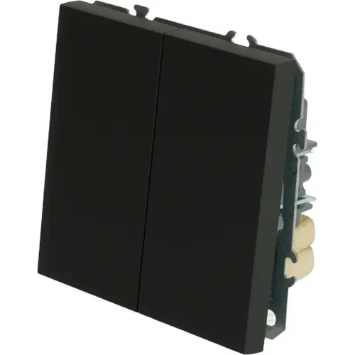 Переключатель 2-кл ЭМИЛИ черный RSW10-5107-05