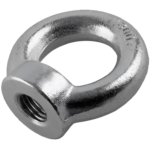 Рым-гайка DIN 582 M 8