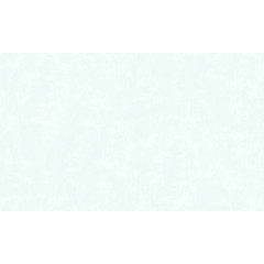 Обои 60671-06 Эрисманн винил на флизелиновой основе 1,06*10 (6)