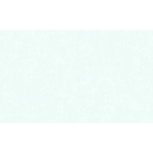 Обои 60671-06 Эрисманн винил на флизелиновой основе 1,06*10 (6)