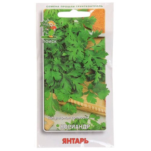 Семена Кинза Янтарь (283273)