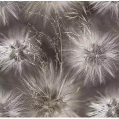 /Обои 286819 Victoria Stenova винил на флизелиновой основе 1,06*10 (6) РАСПРОДАЖА!!