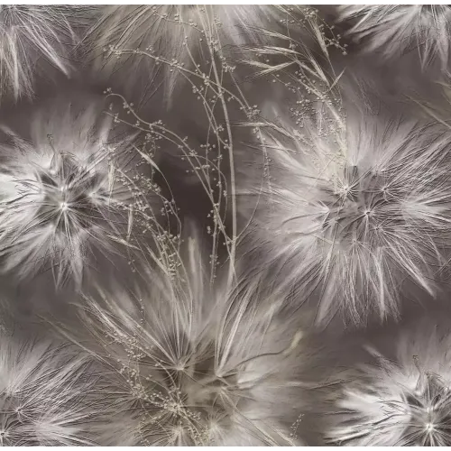 /Обои 286819 Victoria Stenova винил на флизелиновой основе 1,06*10 (6) РАСПРОДАЖА!!