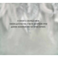 Фотопанно DIVINO DECOR Листья (Т2-144) 300*270