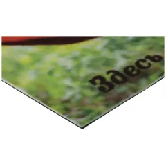 Коврик придверный 500*800мм Vortex Samba Собаки в гамаке (24217)