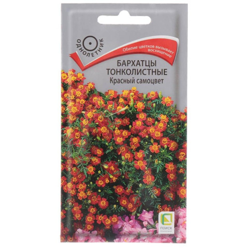 Семена Цветы Бархатцы Красный самоцвет Поиск(306120)