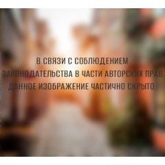 Фотопанно DIVINO DECOR Германия С1-058 300*270