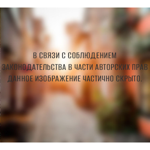 Фотопанно DIVINO DECOR Германия С1-058 300*270