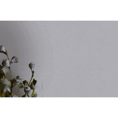 Обои 39410-5 AS CREATION Royal Botanic винил на флизелиновой основе 1,06*10 (6)