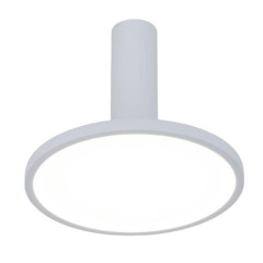 Светильник накладной ES DLS029 12W 4200K белый/матовый