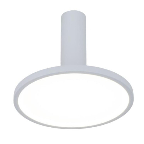 Светильник накладной ES DLS029 12W 4200K белый/матовый