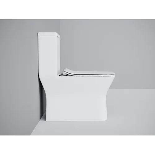 Сиденье для унитаза EVA GOLD дюропласт, SM9608