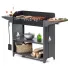 Мангал GRATAR Professional Standart Grill PSG3000