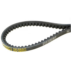 Ремень клиновый AVX 10х875