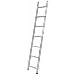 Лестница АЛЮМЕТ  односекционная 1х 7 (5107)