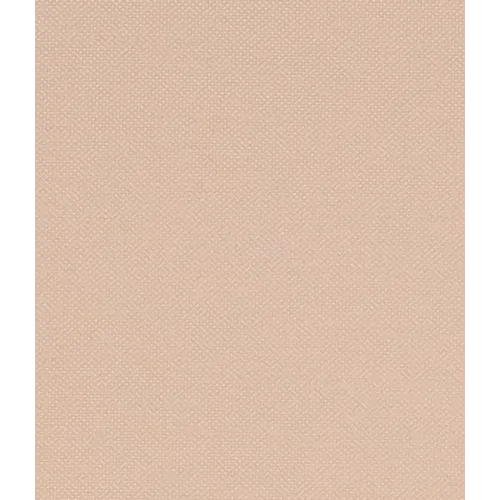 Рулонные жалюзи Лестер 72,5*175 пудра