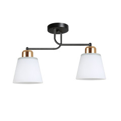 Светильник ЭкономСвет 12197/2BK+GD WT