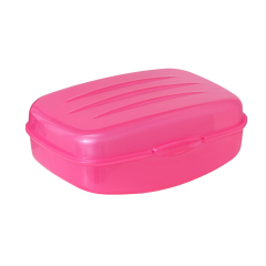 Мыльница дорожная РАДИАН 10х7см, цвет МИКС (9337921)