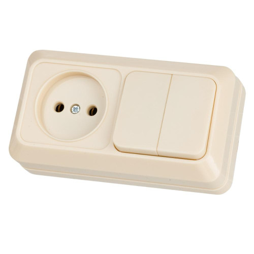 Блок комбинированный TDM выкл 2кл.+розетка 2P 10А БКВР Ладога сл.кость SQ1801-0206