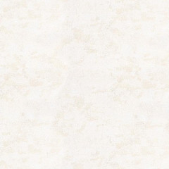 Обои 1853-61 Гомель Орфей фон винил на флизелиновой основе 1,06*10 (9)