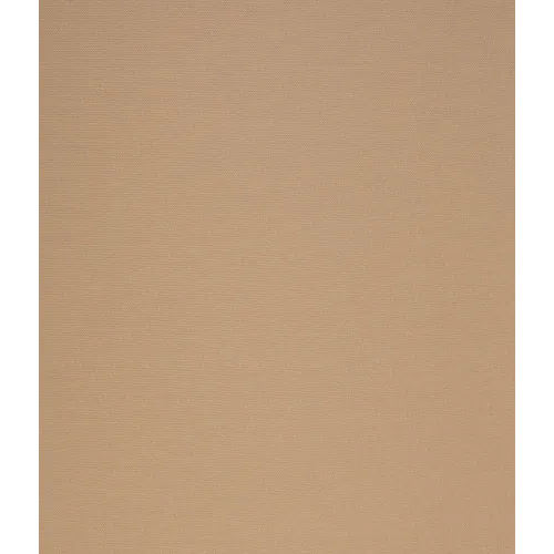 Рулонные жалюзи Лестер 61,5*175 бежевый