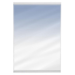 Шкаф с зеркалом EVA GOLD 40 