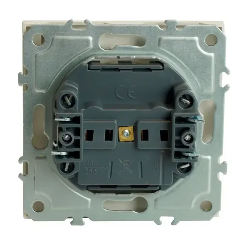 Розетка 2P ЭМИЛИ защ.шторки с крышкой белый RST16-5113-01